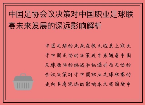中国足协会议决策对中国职业足球联赛未来发展的深远影响解析