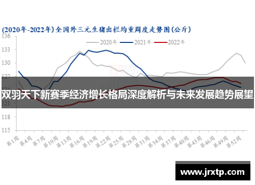 双羽天下新赛季经济增长格局深度解析与未来发展趋势展望