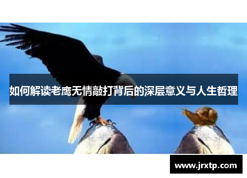 如何解读老鹰无情敲打背后的深层意义与人生哲理